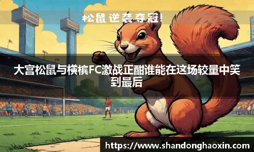 大宫松鼠与横槟FC激战正酣谁能在这场较量中笑到最后